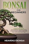 Bonsai for Beginners: 3 Simple Stra