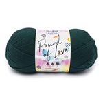 Lion Brand Yarn 550-131 Pound of Love Yarn, Hunter Green