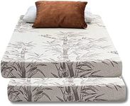 ViscoLogic Econo 5 Inch Twin Revers