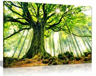 Panther Print Fine Art Prints Green Forest Trees Woods Artistic Framed Canvas Print, Pictures for Home Walls, Bedroom, Living Room & Bathroom Decor 46x31cm (18x12in)