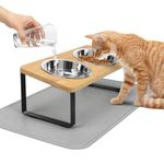 Elevated Cat Bowls with Non Slip Mat, ACEONE 15° Tilted Raised Anti Vomit Cat Feeder for Food and Water, Pet Feeding Station with 2 Stainless Steel Bowls