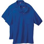 Hanes Men's Short Sleeve Jersey Pocket Polo, Deep Royal, 4X-Large (Pack of 2)