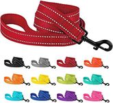 CollarDirect Nylon Dog Leash 5ft for Daily Outdoor Walking Running Training Heavy Duty Reflective Pet Leashes for Large, Medium & Small Dogs (M, Red)