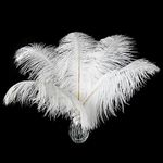 Ballinger White Large Ostrich Feathers - 12Pcs 14-16inch Large Feathers for Vase,Wedding Party Centerpieces and Christmas Home Decor