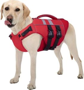 Kuoser Dog