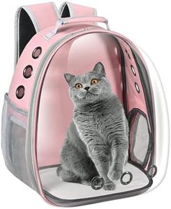 Cat Carrie