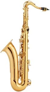 STRICH Bb Tenor Saxophone Brass Student Beginner Tenor Sax Kit with Hard Case Stand Neck Strap Mouthpiece and Reeds for School Band Home Practice, SSA-21G, Gold