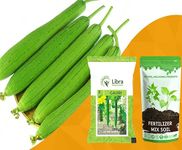 Galka Seeds for Planting | Sponge Gourd | Farming | Home | Garden | Kitchen | Vegetable | Hybrid | Terrace | Balcony | Eating | Luffa Cylindrica | Egyptian Cucumber | Vietnamese Luffa 31 Seed (GAURI)