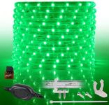 WYZworks 288LEDs, 25ft LED Green Ou