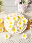TIED RIBBONS 30 Pcs Artificial Flower for Pooja Room Decoration Foam Plumeria Hawaii Flowers Frangipani Beach Floating Flower for Home Pooja Room Office Necklace Garland DIY Craft Wedding Gift Items