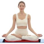 Red Light Mat for Body, 400 LEDs Near Infrared Light Mat 3 in 1 Chip Design 11in x 35.5in Large Size Red Light Pad with Timer and Cord for Home Use