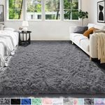 PAGISOFE Grey Fluffy Rugs for Bedro