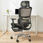 DROGO Ergonomic Office Chair for Work from Home, Computer Chair with Breathable Mesh, Adjustable Seat, Footrest, 3D Armrest, 2D Headrest & Lumbar Support | Mesh Chair for Office/Home (Grey)