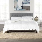 Canadian Hutterite Goose Down Premi