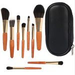 Brush Set With Travel Bags