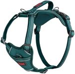 HALTI Anatomy Dog Harness with Hand