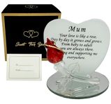 Mum Gift Glass Plaque Ideas for Mummy Mom Mother Birthday Anniversary Christmas Xmas Presents Mother's Day From son Daughter (Mum)