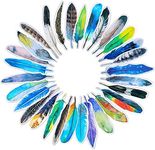 MWOOT 30Pcs Feather Shape Paper Bookmarks,Feather Colorful Paper Clips Bookmark Set,Creative Book Markers Gifts for Women Men Girls(30 Styles)