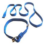 Skora Premium Nylon Lead Leash with Collar for Small Dog - 0.75 Inch