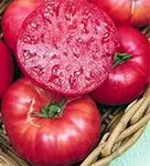 Pink Ponderosa Heirloom Tomato Seed