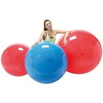 NRS Healthcare Gymnic Large Physio Ball - Swiss Gym Ball Core Stability Rehab, Balance Yoga Ball, Exercise Ball