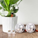 Soilagua 19 oz Extra Large Plant Se