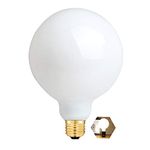 OMAYKEY 15W Dimmable Large LED Globe Bulb 100W Equivalent 1000 Lumens, 3000K Soft White E26 Medium Base, Vintage Edison G125 Large Globe Edison Style LED Filament Light Bulb, Deep Dimming Version