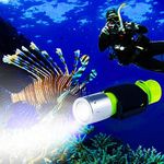 BlueFire Scuba Dive Torch, 1200 Lum