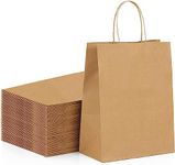 RanGit Bhumi - Brown Paper Bags 25pcs 10"x14"x5" Return Gift Bags, Medium size Party Favor Paper Carry Bags, Craft Paper Bag- Recycled Eco Friendly Disposable (25)