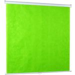 VIVO Pull Down 254cm Diagonal Green Screen, Mountable Chroma Key Panel Backdrop for Background Removal, Wrinkle-Resistant Fabric (PS-M-100G)