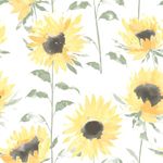 Sunflower Wallpaper