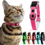 Durable Breakaway Cat Collar with S