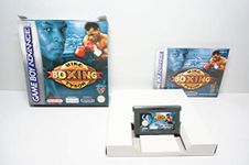 Mike Tyson Boxing