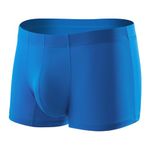 Arjen Kroos Men's Silk Underwear Tagless Sexy Underpants Bulge Pouch Boxer Briefs,Blue-AK7010,Medium