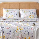 Marianne Collection 3 Piece Quilt Set with Shams. Reversible Floral Bedspread Coverlet. Machine Washable. (Full/Queen, Multi)