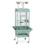 Prevue Pet Products Wrought Iron Select Bird Cage 3151SAGE Sage Green, 18-Inch by 18-Inch by 57-Inch