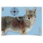 Pregame 16.5? X 24? Coyote Target-3 Targets