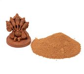 Terracotta Journey DIY Shadu Earthen Clay Powder Bag Ready to Use for Home Made Organic Eco-Friendly for Ganesha | NonToxic Natural & Soft for Kids Adults Sculpture and Modeling at School(Red)1 kg(12)