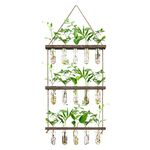 XXXFLOWER Wall Hanging Propagation Station with Wooden Stand 5 Glass Test Tubes 3 Tiered Planters Wall Terrarium for Home Office Plant Hanger Flower Vases Wall Decor Hydroponic Cuttings