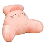 Weston Ink Reading Pillow & TV Relax Sitting Pillow - Back Rest with Arms, Perfect for Teens, and Kids - for Back, Pregnancy Lumbar, Head Neck Coccyx Support, Plush Cushion.