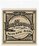 Ernie Ball 2070 Earthwood Phosphor 