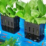 Upgraded Aquarium Plant Holder with Hooks and Suction Cups for Fish Tank Aquaponic Plants Cultivation and Aquascape Decorations (Black)