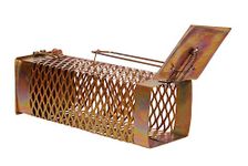 Krisah Rat Trap Cage Iron Mesh Design (21 X 9X 8.5 cm) Pinjra Chuhedaan (Small)