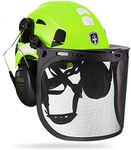 GREEN DEVIL Forestry Safety Helmet 