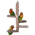 Bird Perch Nature Wood Stand for 3-