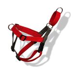 That Dog In Tuxedo No Pull Dog Harness with Dual Attachment and Adjustable Leash - Red/Ash Grey (L)