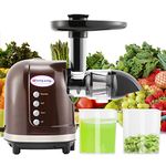 Moongiantgo Manual Juicer Wheatgrass Juicer Squeezer Machine Extractor for Celery Kale Spinach Parsley Ginger Pomegranate Apple Grapes Orange (With Suction Cup Base & Clamp)