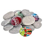 DALTACK 20PCS Large Painting Rocks,Natural River Rocks，Flat Rocks for Painting, 2"-3" Inches Stones for Arts & Craftingt