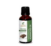 Agarwood (Oud) Oil (Aquilaria Malaccensis) 100% Natural Undiluted Frangrance Therapeutic Grade Essential Oil For Aromatherapy 0.33 fl. oz