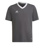 adidas Unisex Kids Entrada 22 Jersey, Team Grey Four, 9-10 Years